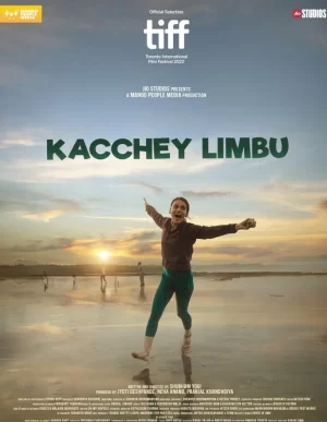 卡奇·林布海报