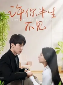 许你半生不见海报