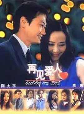 再见爱人海报
