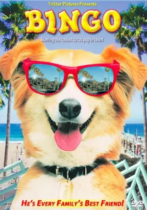 灵犬宾果[影视解说]海报