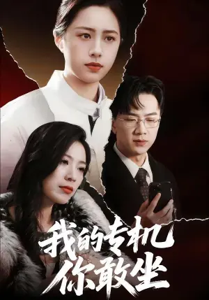 我的专机你敢坐海报