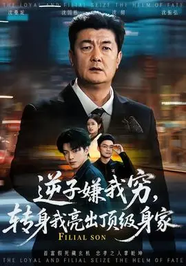 逆子嫌我穷,转身我亮出顶级身家海报