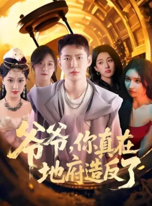 爷爷,你真在地府造反了海报