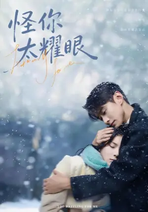 怪你太耀眼海报