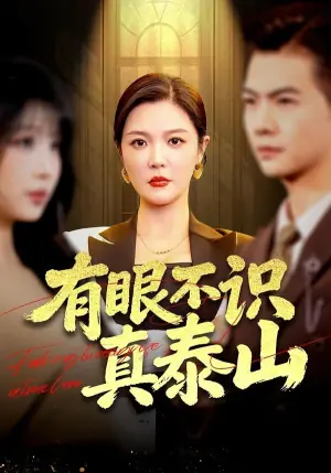 有眼不识真泰山海报