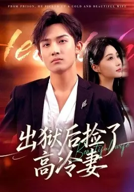 出狱后捡了高冷妻海报